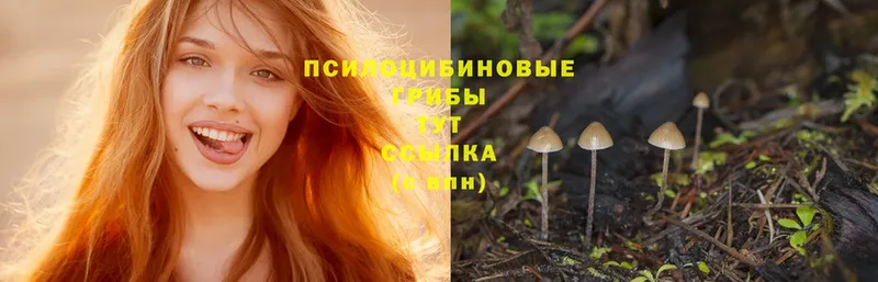 Галлюциногенные грибы MAGIC MUSHROOMS  Ликино-Дулёво 